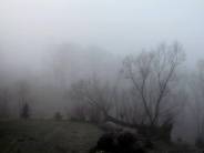 PRZYRODA wokół naszego gospodarstwa