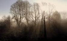 PRZYRODA wokół naszego gospodarstwa