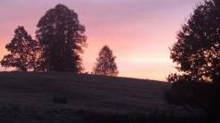 PRZYRODA wokół naszego gospodarstwa