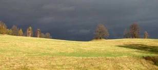 PRZYRODA wokół naszego gospodarstwa