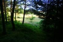 PRZYRODA wokół naszego gospodarstwa