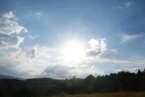 PRZYRODA wokół naszego gospodarstwa