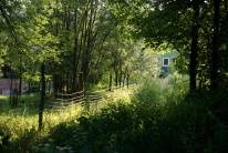 PRZYRODA wokół naszego gospodarstwa