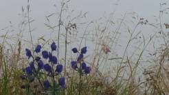 PRZYRODA wokół naszego gospodarstwa