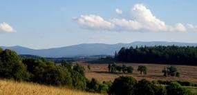 PRZYRODA wokół naszego gospodarstwa