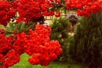 PRZYRODA wokół naszego gospodarstwa