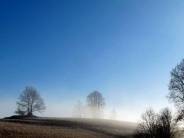 PRZYRODA wokół naszego gospodarstwa