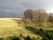 POKÓJ NR 6 JAGODOWY - 3 osobowy