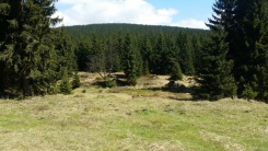 Orle i Chatka Górzystów