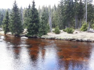 Orle i Chatka Górzystów