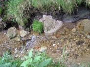 Orle i Chatka Górzystów