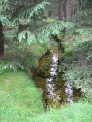 Orle i Chatka Górzystów