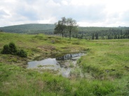 Orle i Chatka Górzystów