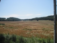 Zapora Wrzeszczyn
